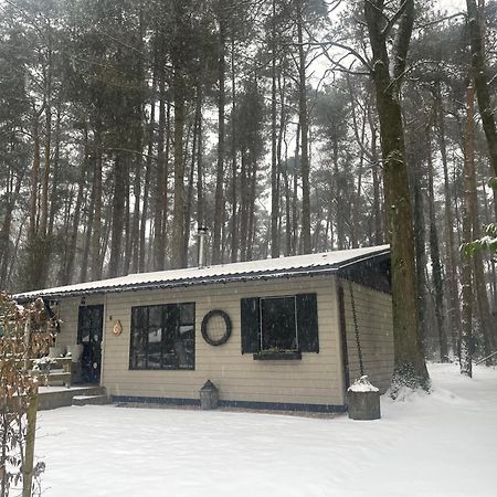 Chalet Sint Zutendaal Zewnętrze zdjęcie